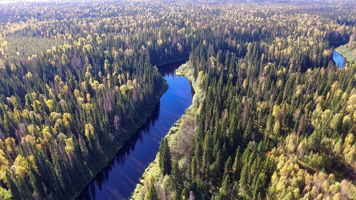 Водлозерский национальный парк