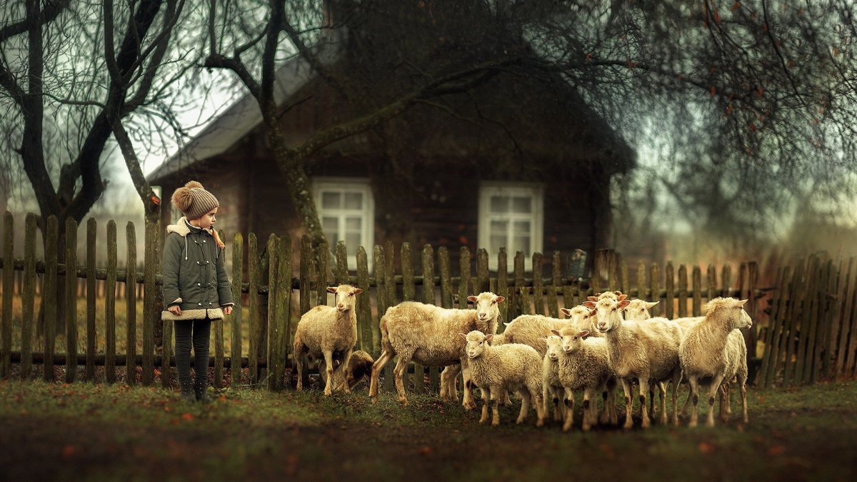 Деревня с животными