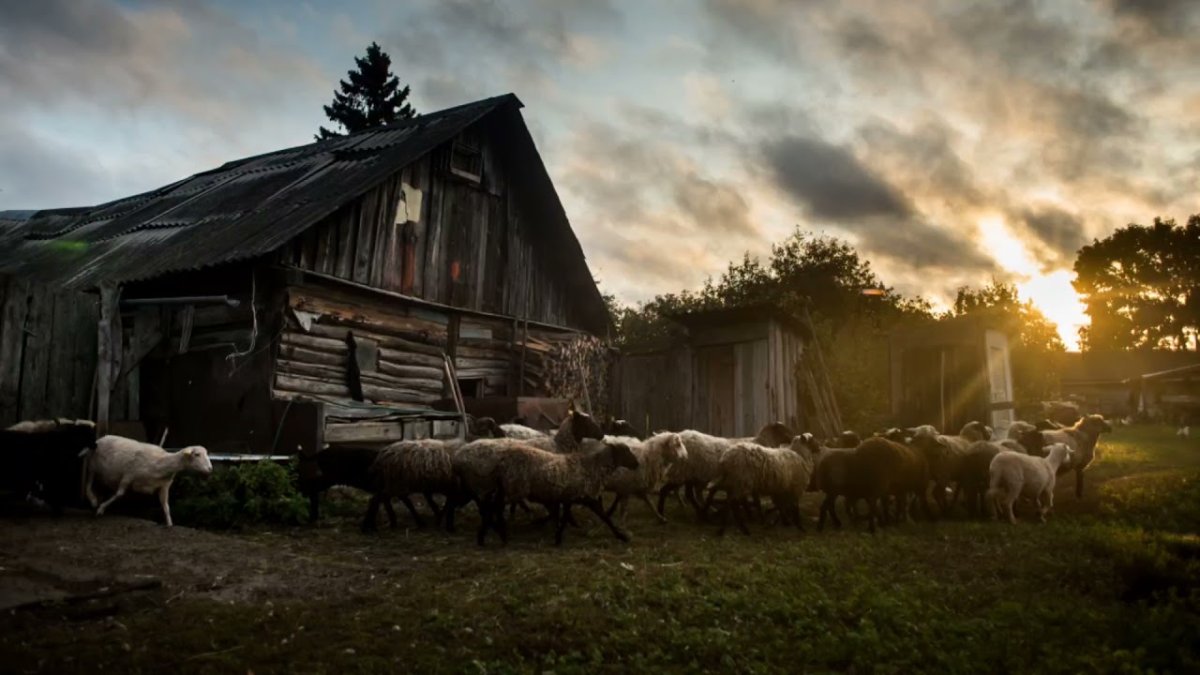 Жизнь в деревне