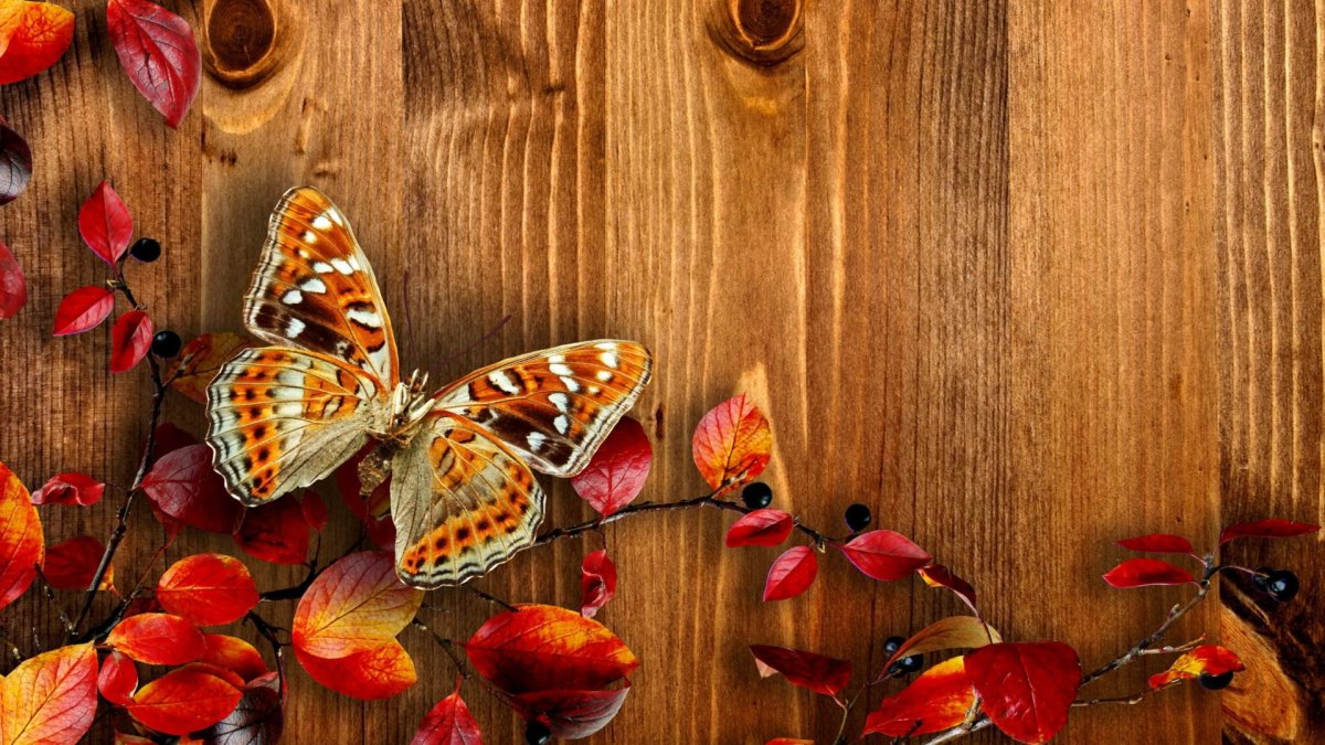 Осенний фон на рабочий стол