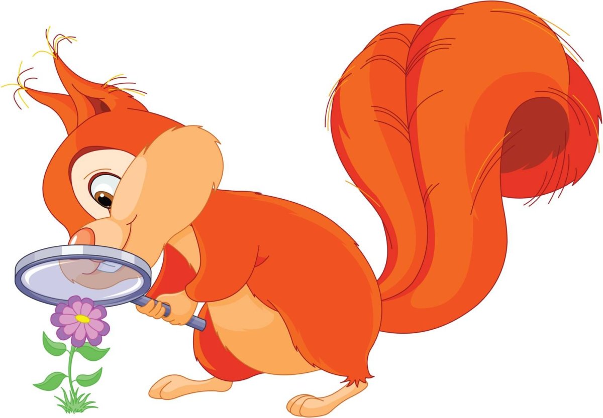 Белка на дереве мультяшная