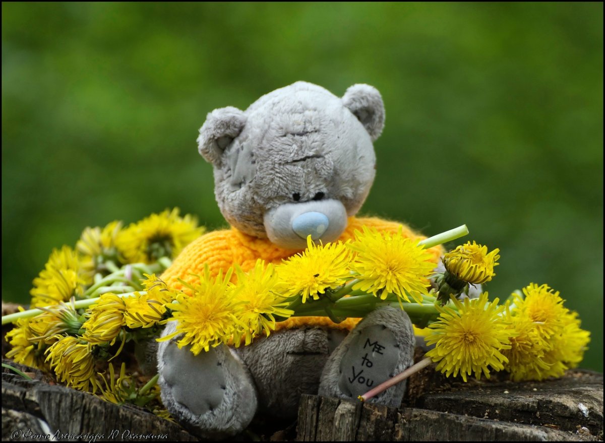 Открытки для поднятия настроения