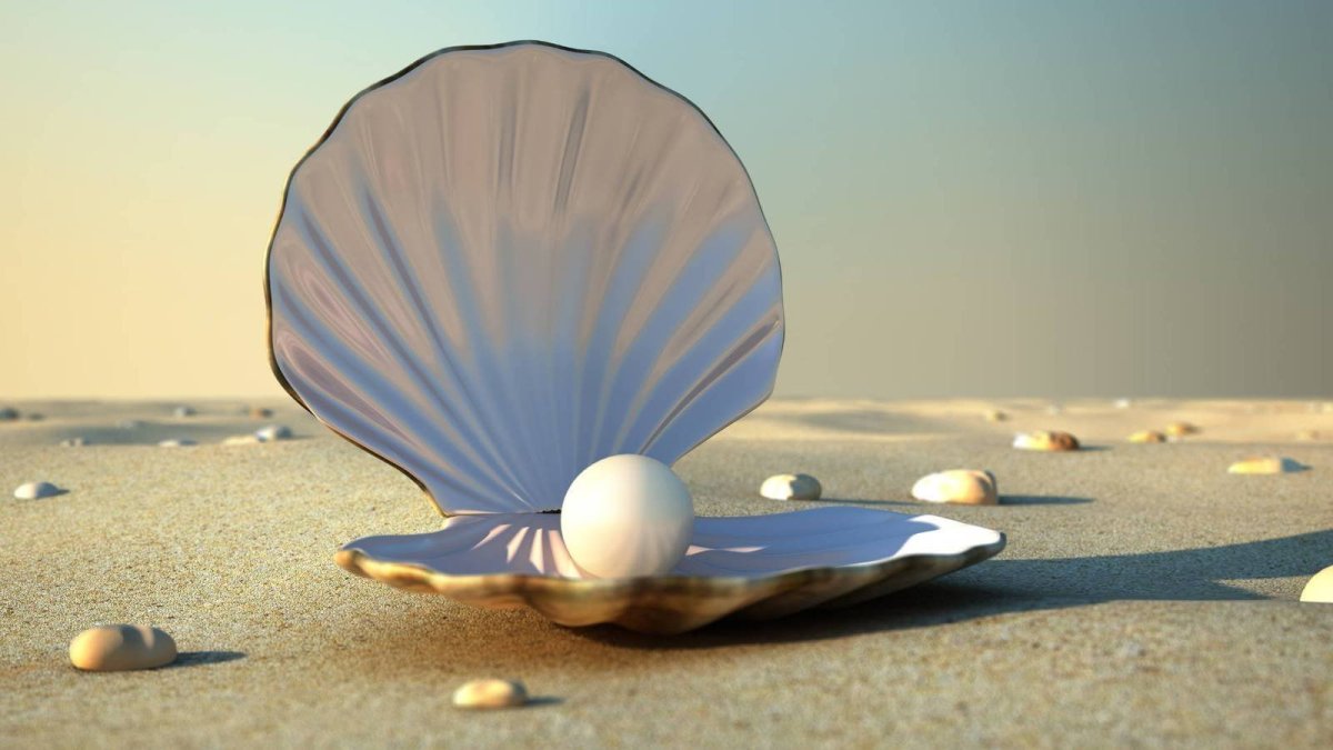 Жемчужина фото морская