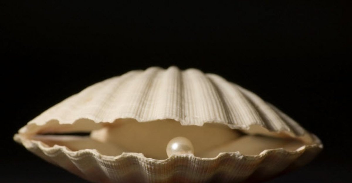 Жемчужина АБЕЛОН