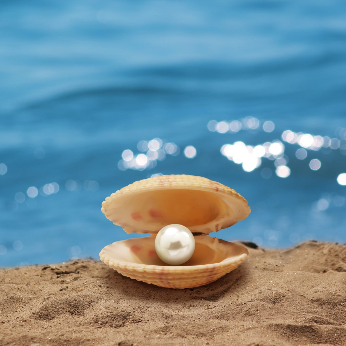 Жемчужина вектор