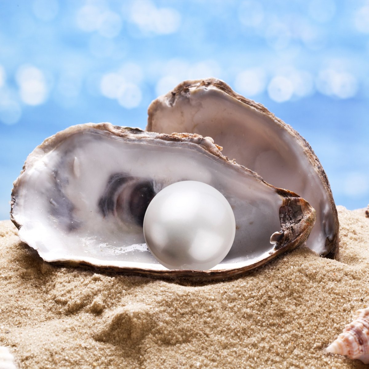 Жемчуг в ракушке