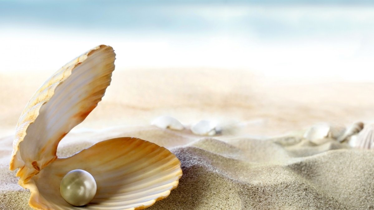 Открытая Ракушка с жемчугом