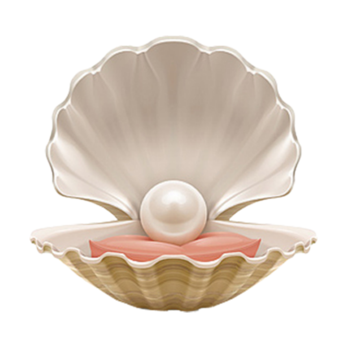 Черная Жемчужина в ракушке