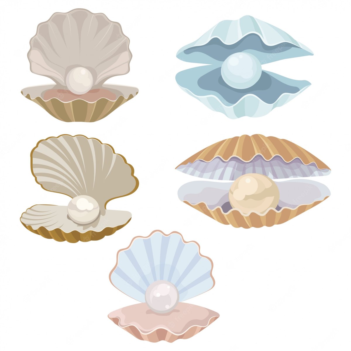 Морская раковина с жемчужиной