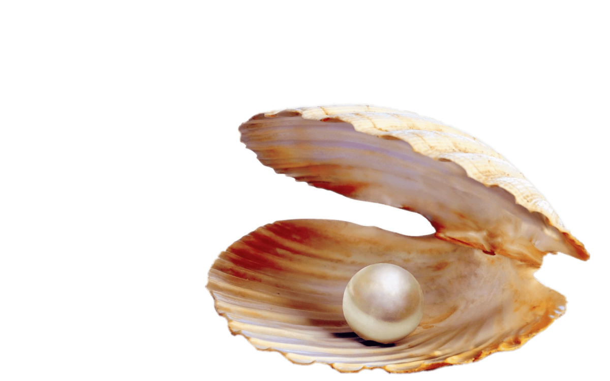 Керамическая плитка ВКЗ Фиджи