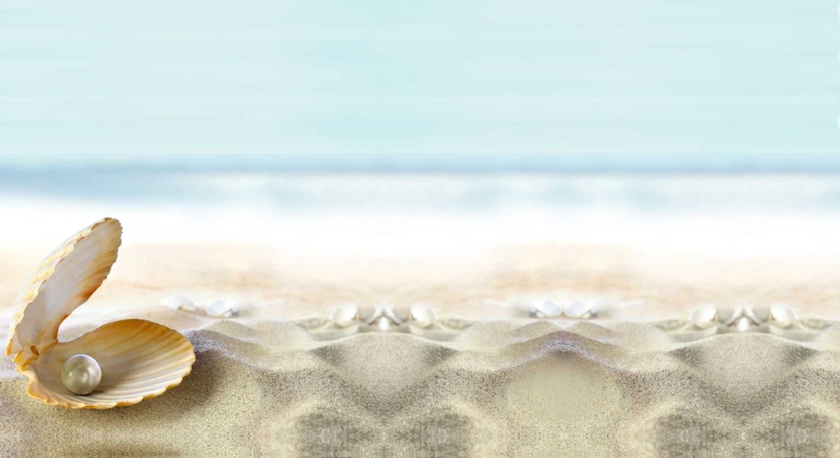 Ракушка с жемчужиной эскиз