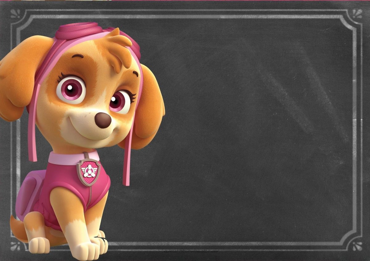 Пригласительное Щенячий патруль Скай