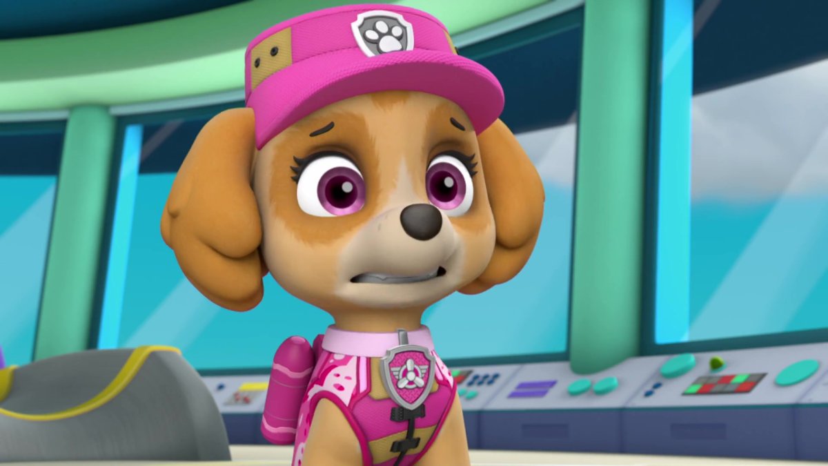 Кокапу Скай Щенячий патруль