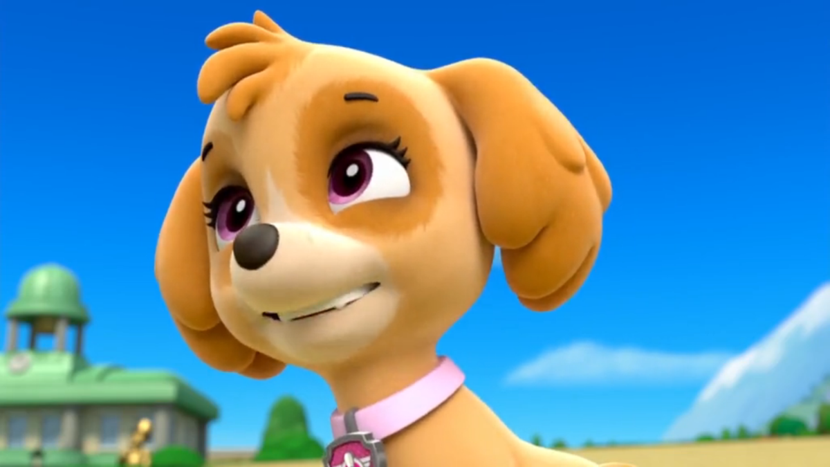 Щенячий патруль гонщик и Скай