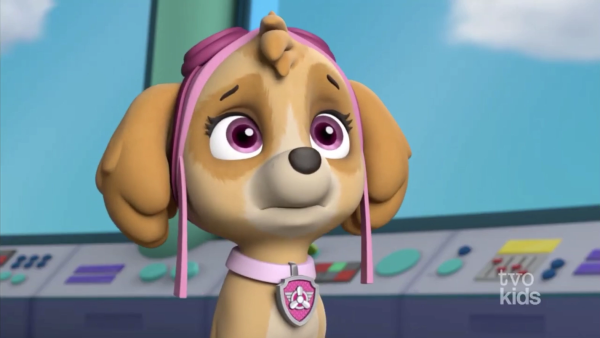 Скай зик Щенячий патруль