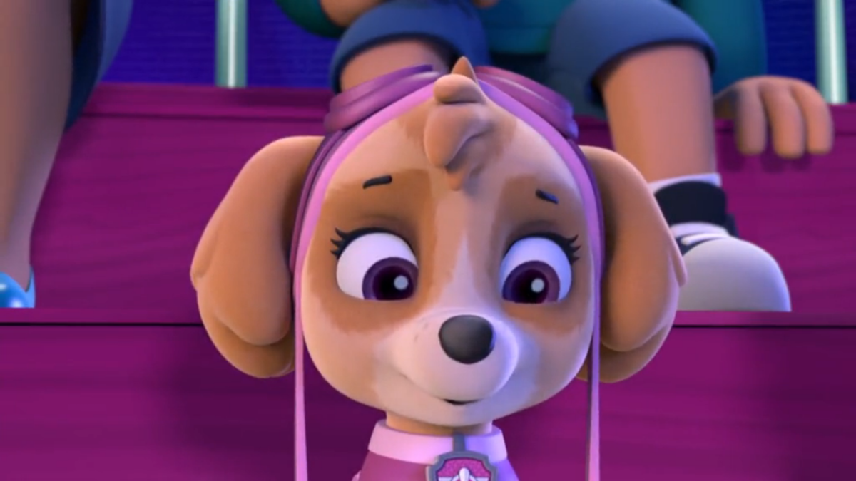 Скай зик Щенячий патруль