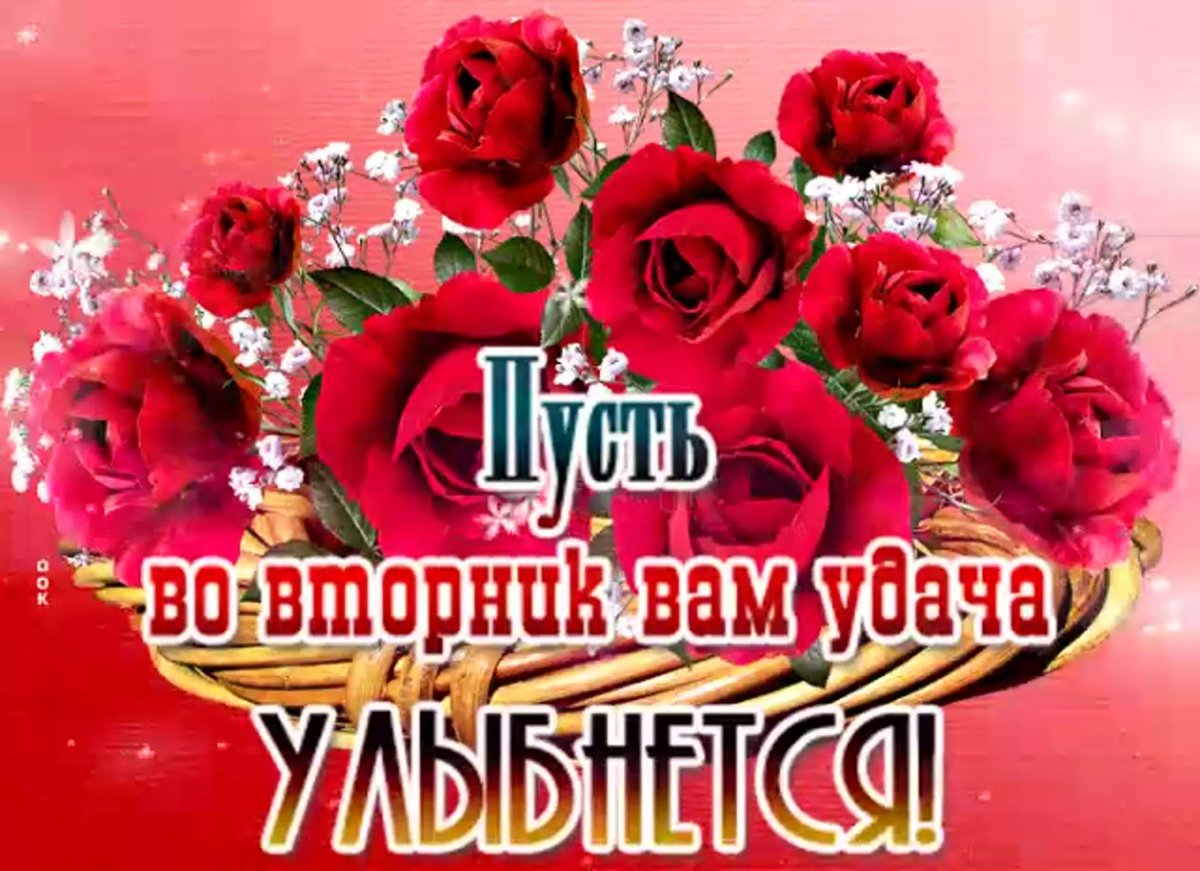 Открытки великолепного вторника