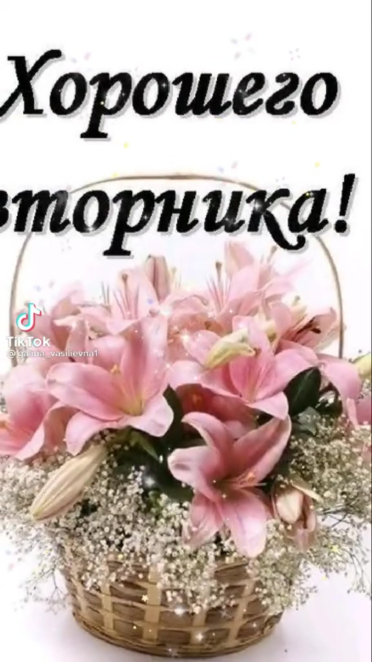 Хорошего вторника и удачной недели