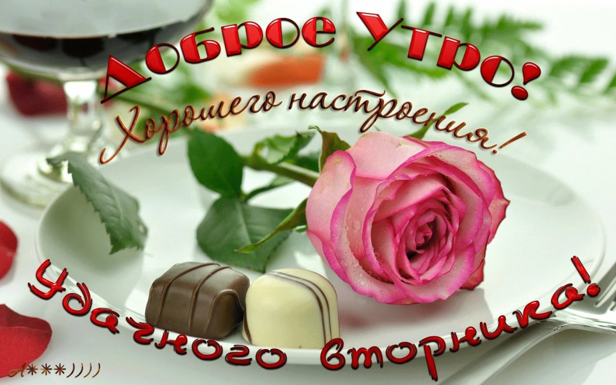 Хорошего вторника