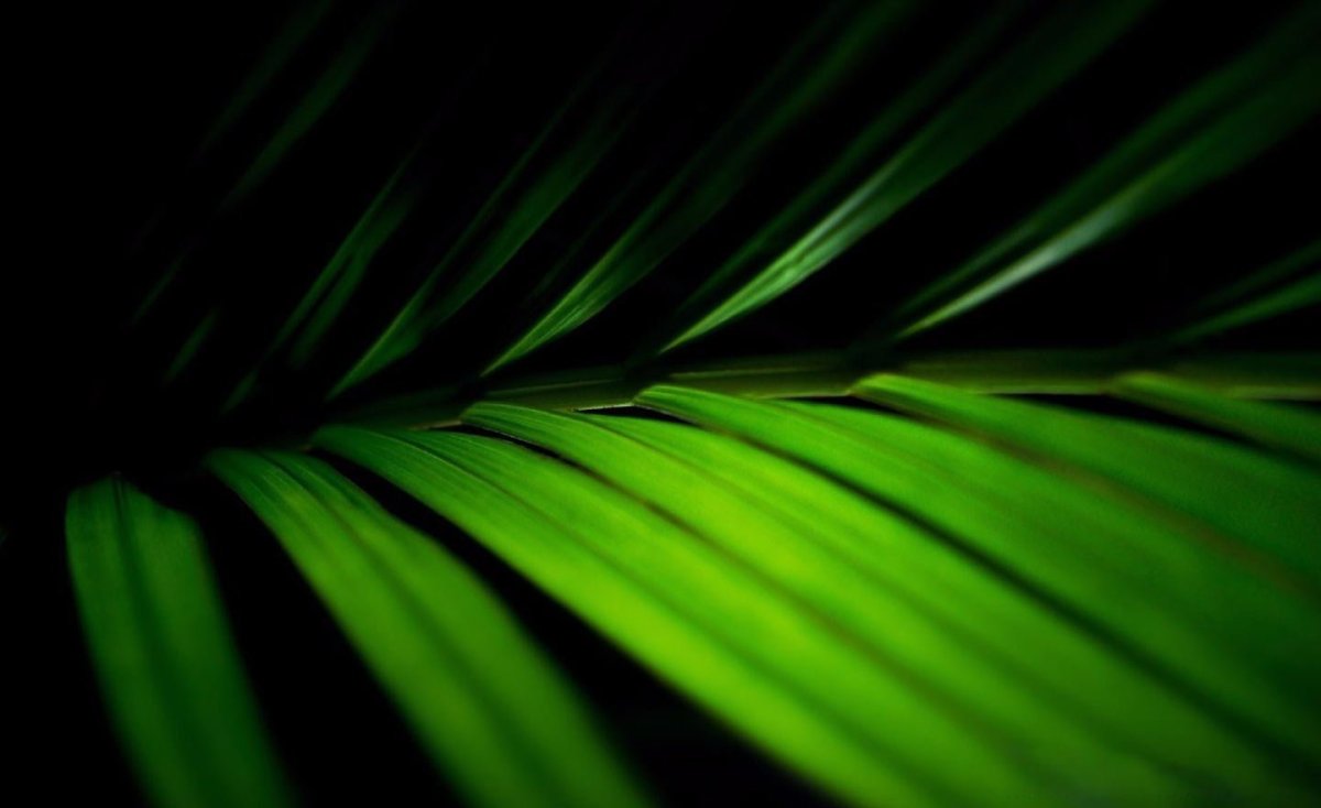 Трехмерный рабочий стол