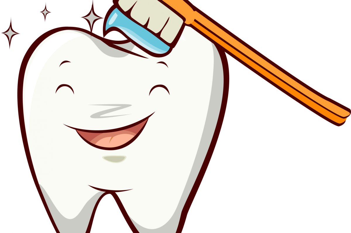 Картинки зубов для детей