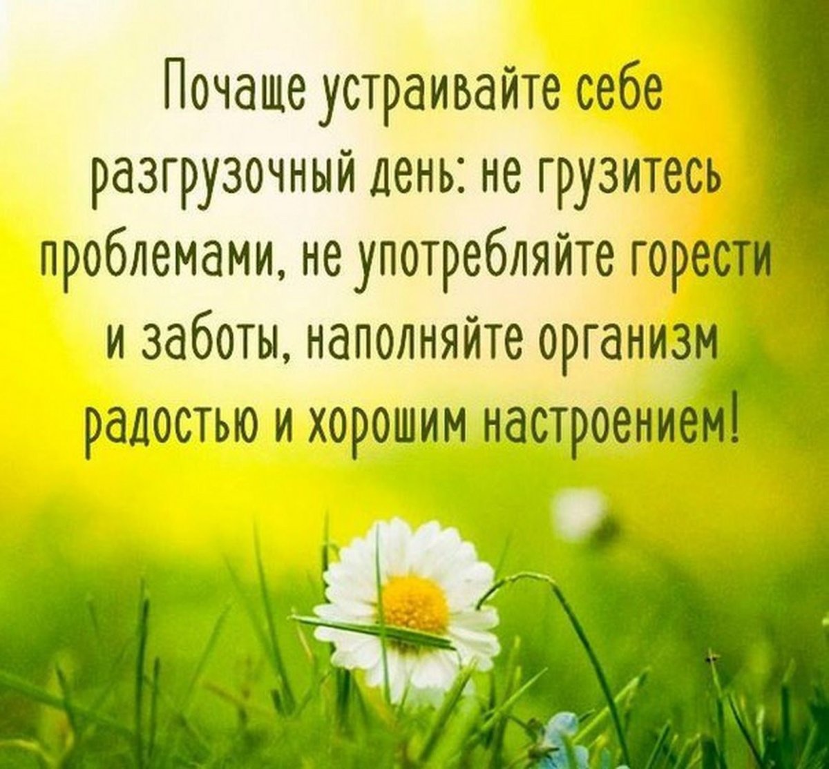 Мудрые пожелания с добрым утром