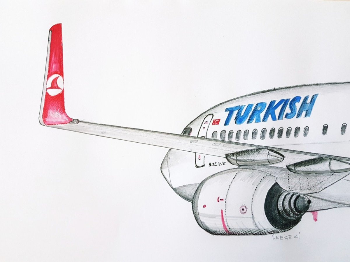 Рисунок самолета Боинг 737