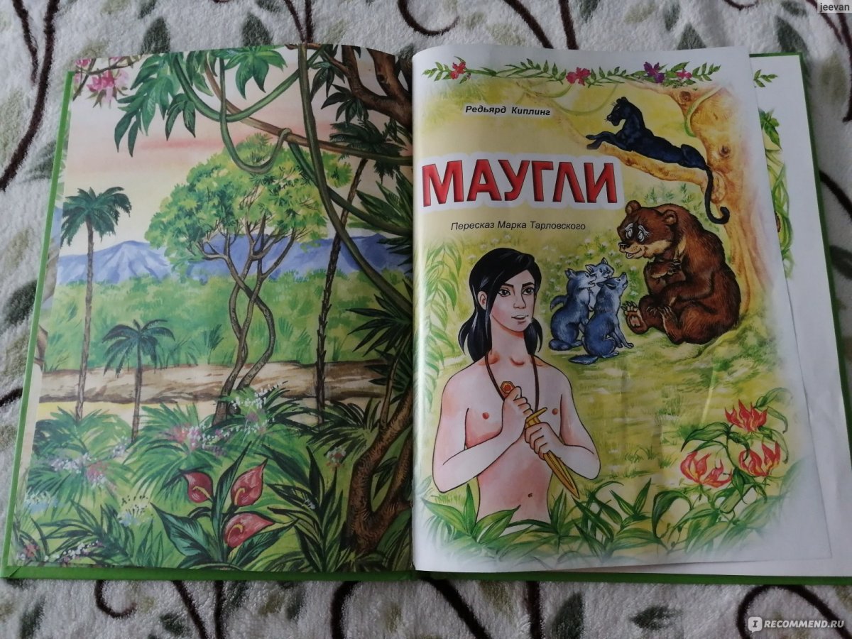 Маугли надпись