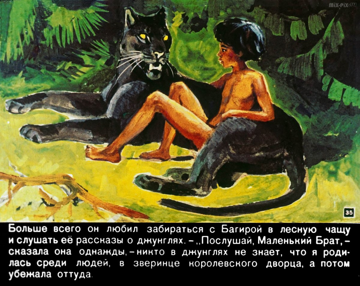 Киплинг братья Маугли