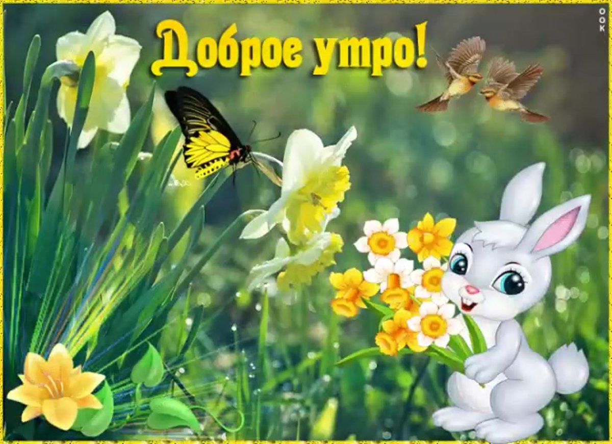 Кролик спит