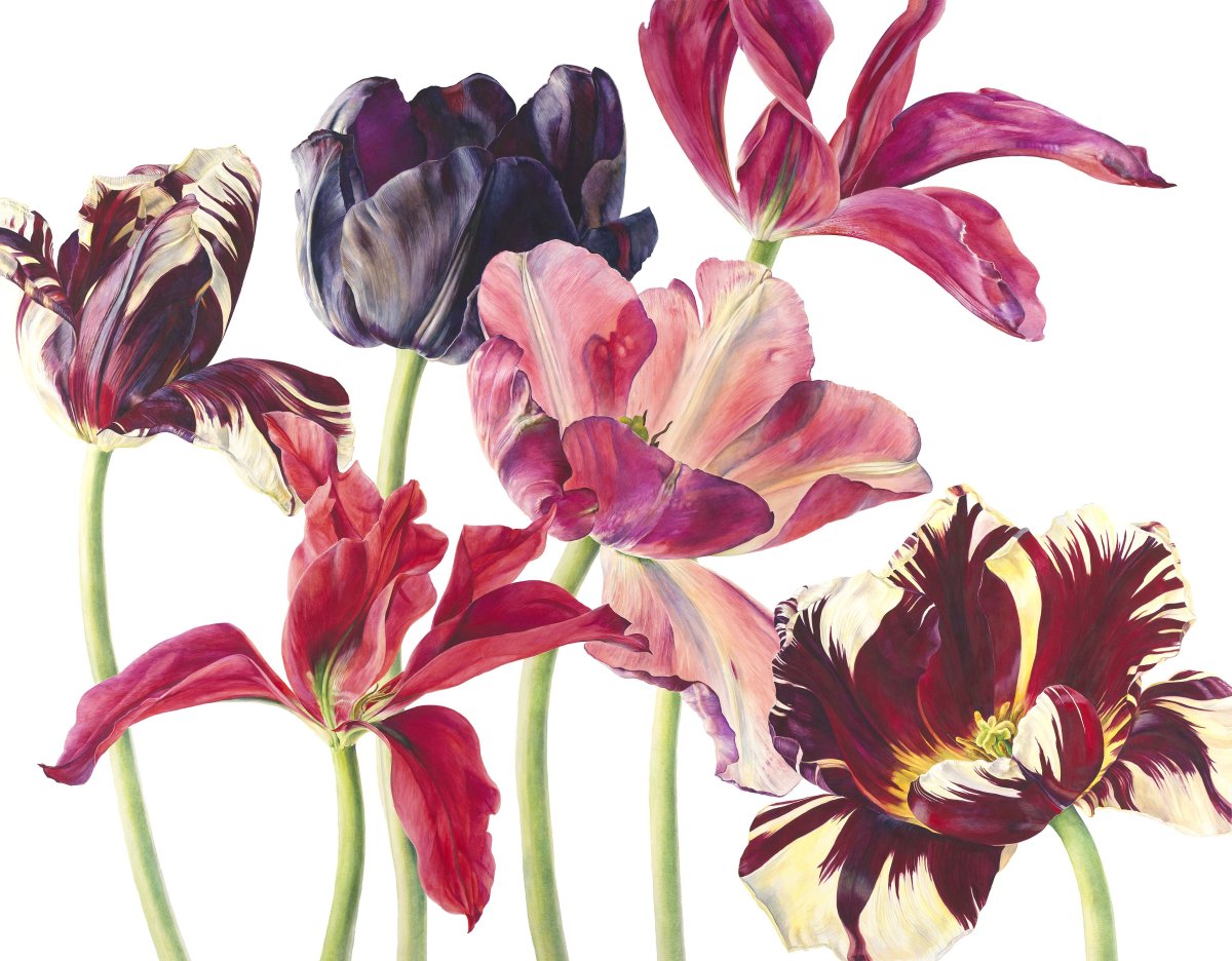 Ботаническая акварель Анна Мэсон