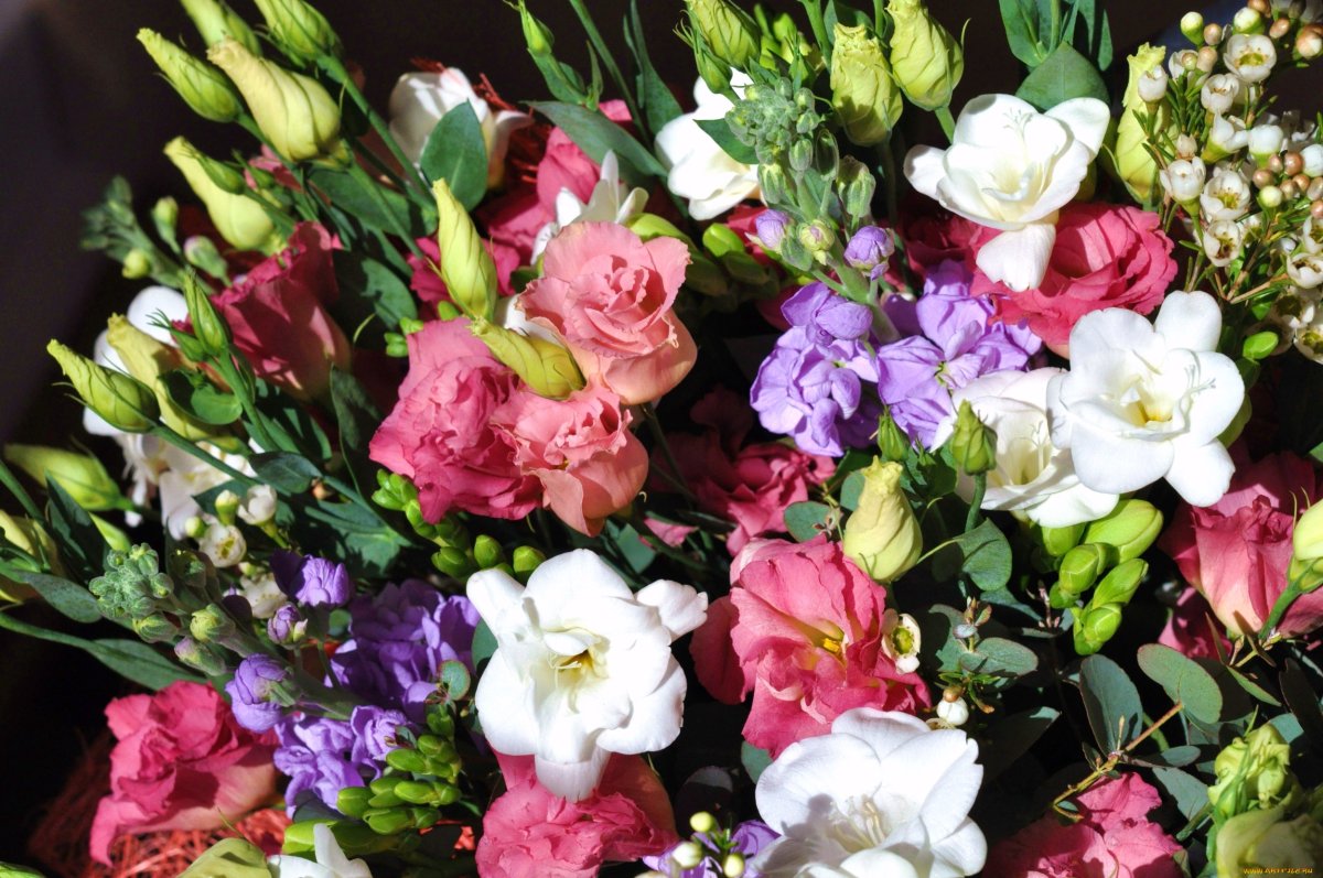 Эустома сиреневая