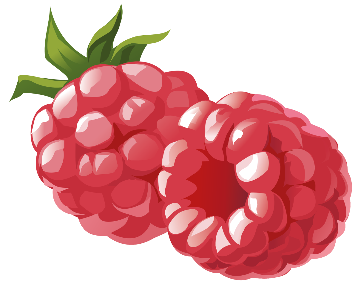 Малина вектор