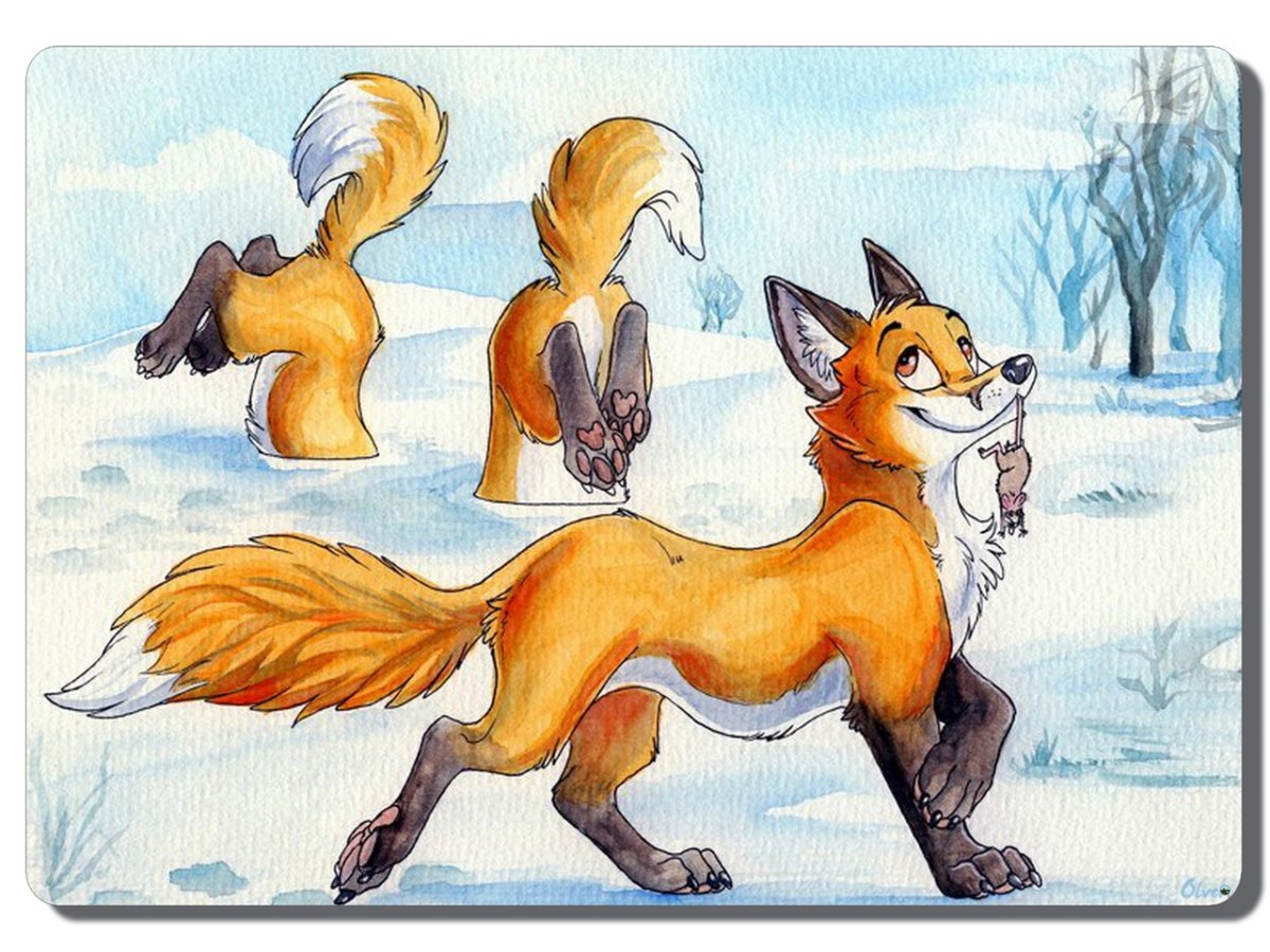 Медведь и лиса картинки