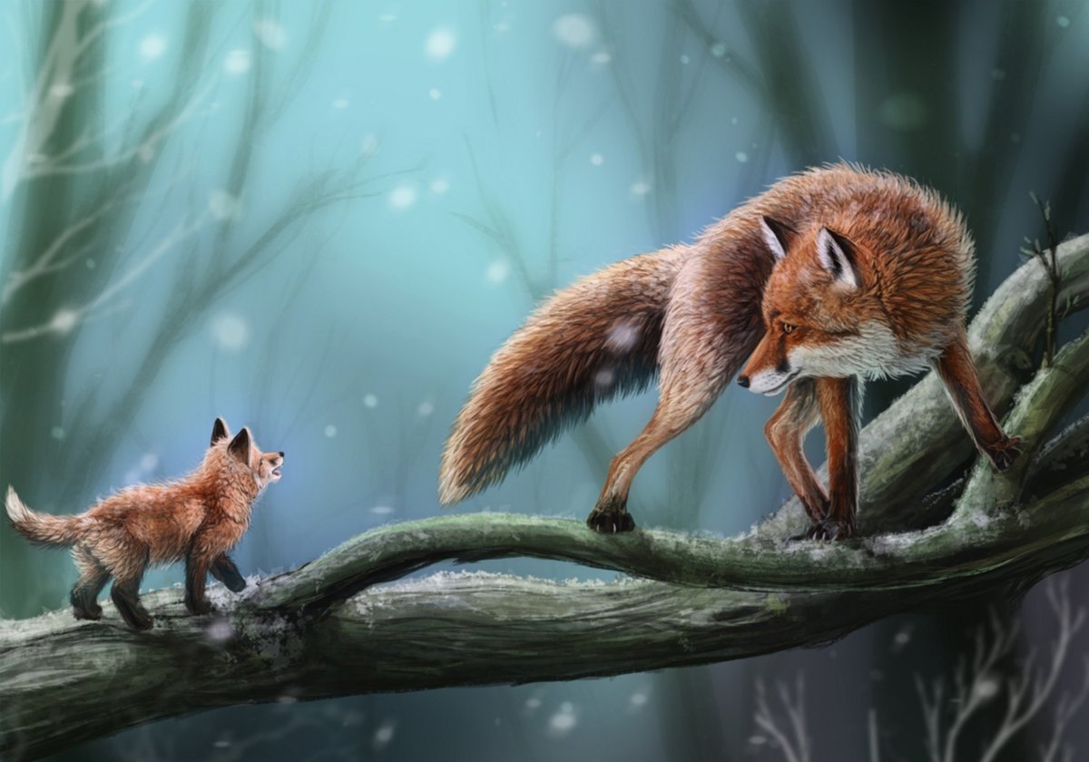 Гибрид белки и лисы