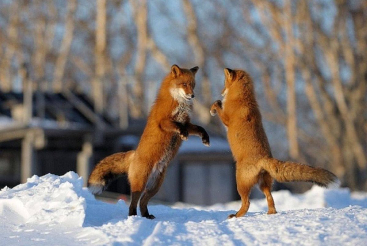 Шпиленок Игорь фотограф