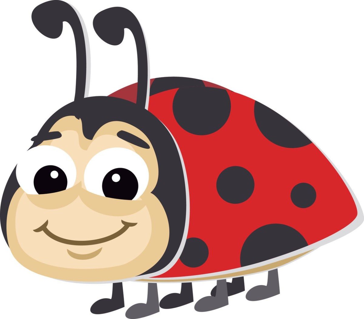 Разные позы Божьей коровки