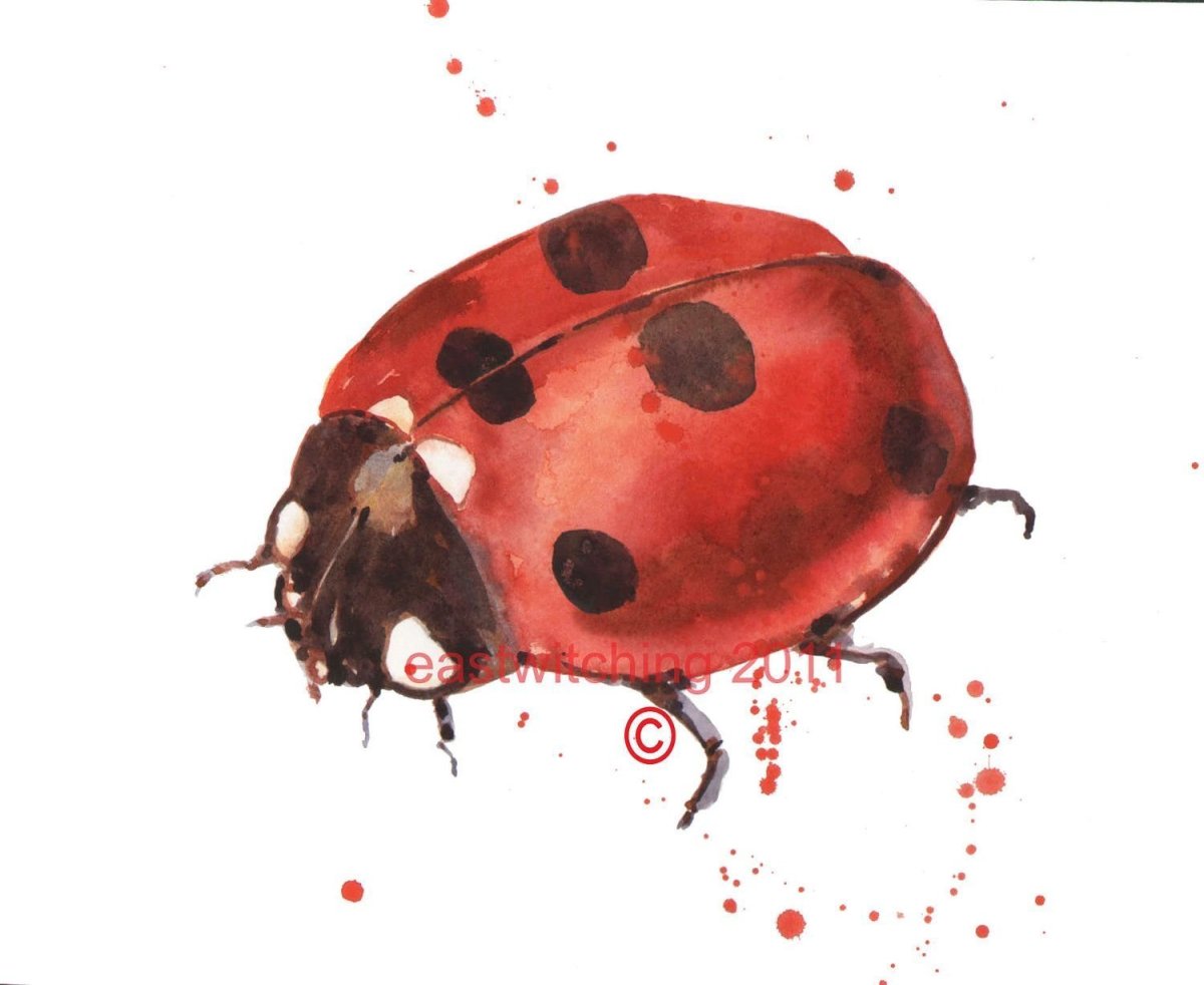 Божья коровка мульт