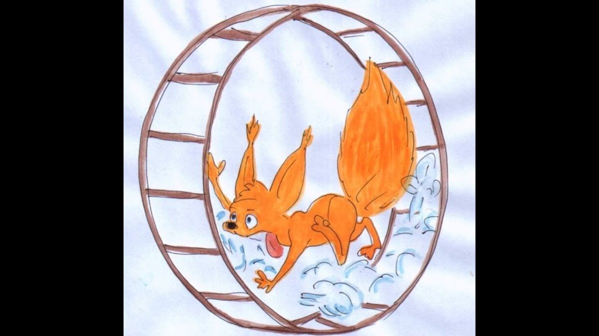 Белочка в колесе