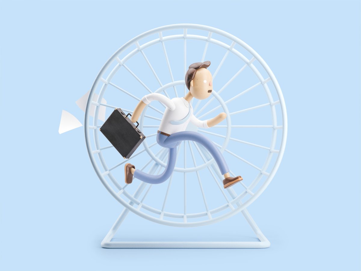 Белка в колесе