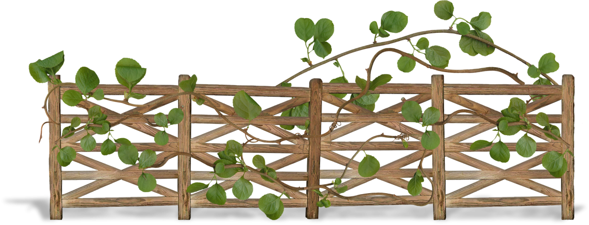Забор плетень на прозрачном фоне
