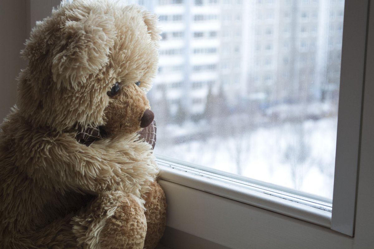 Медведь Тед