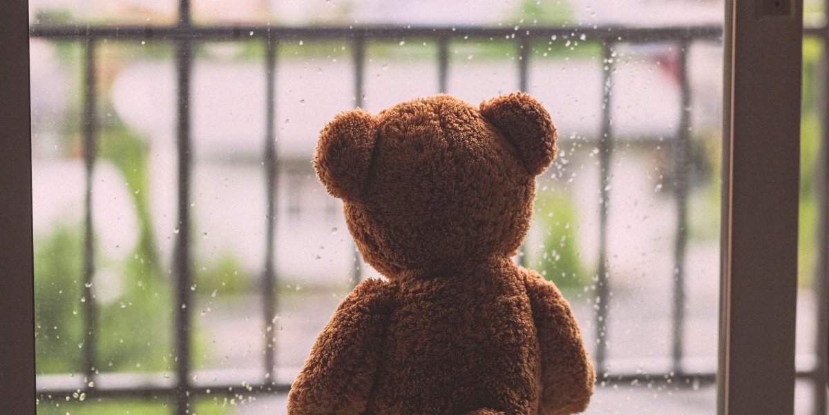 Плюшевый мишка под дождем