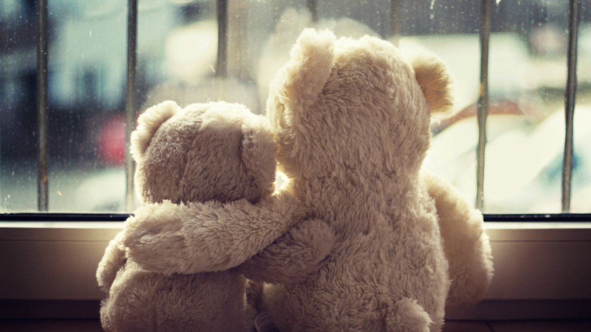 Брошенный плюшевый мишка