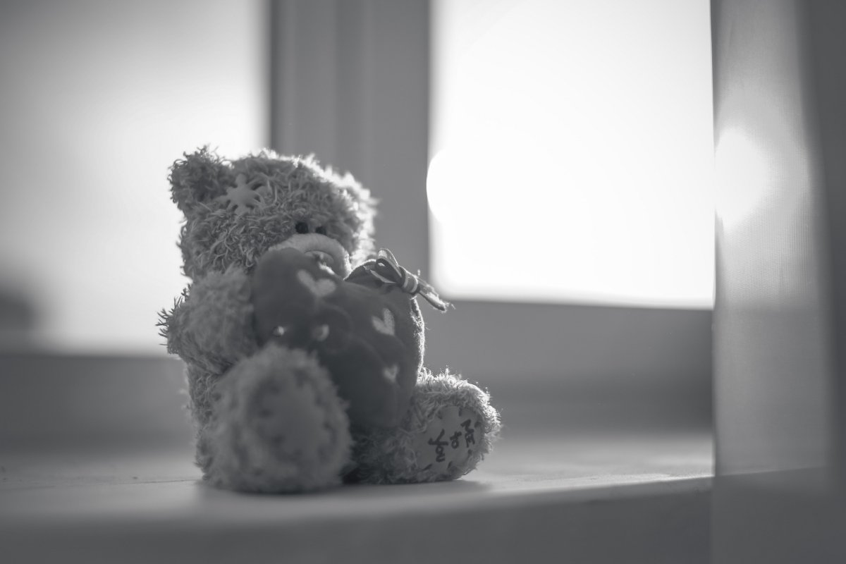 Натюрморт с плюшевым мишкой