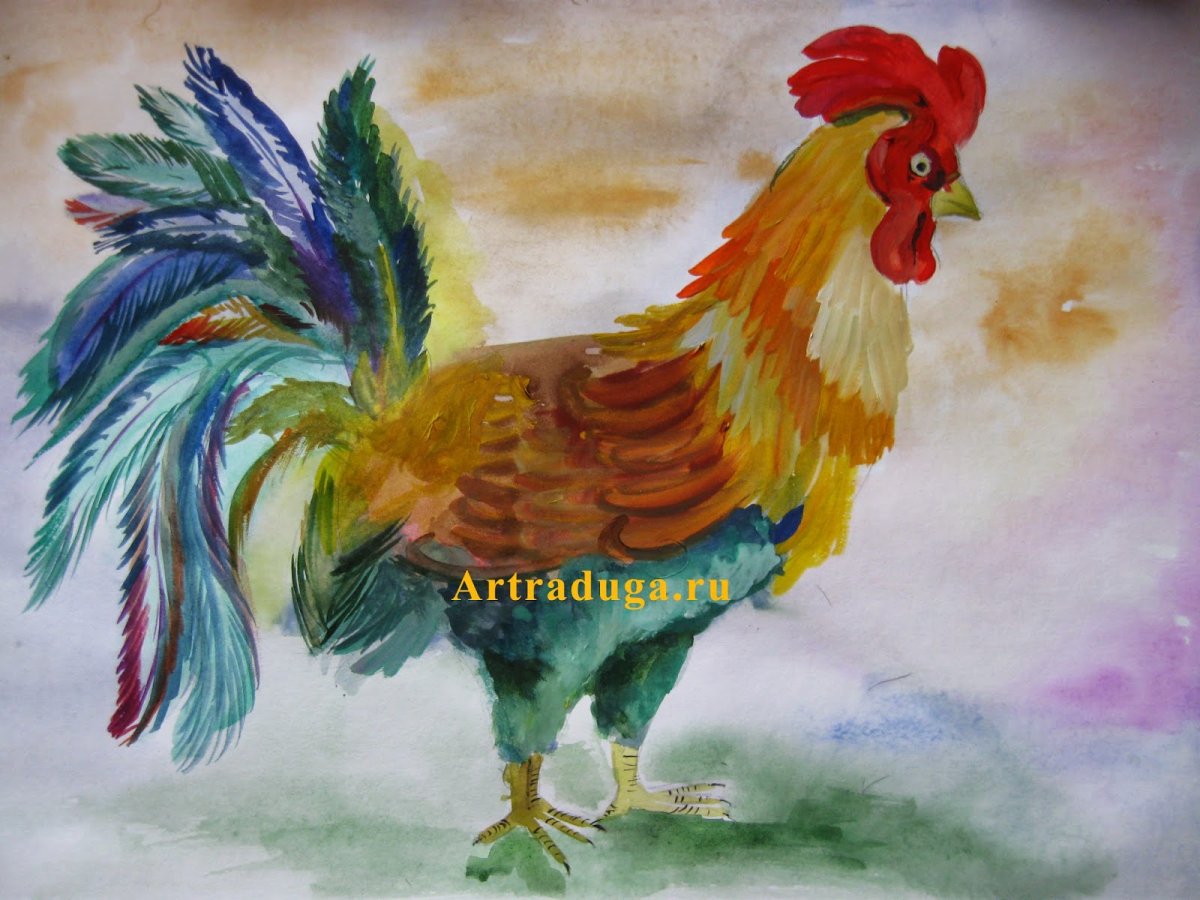 Рисование петушок