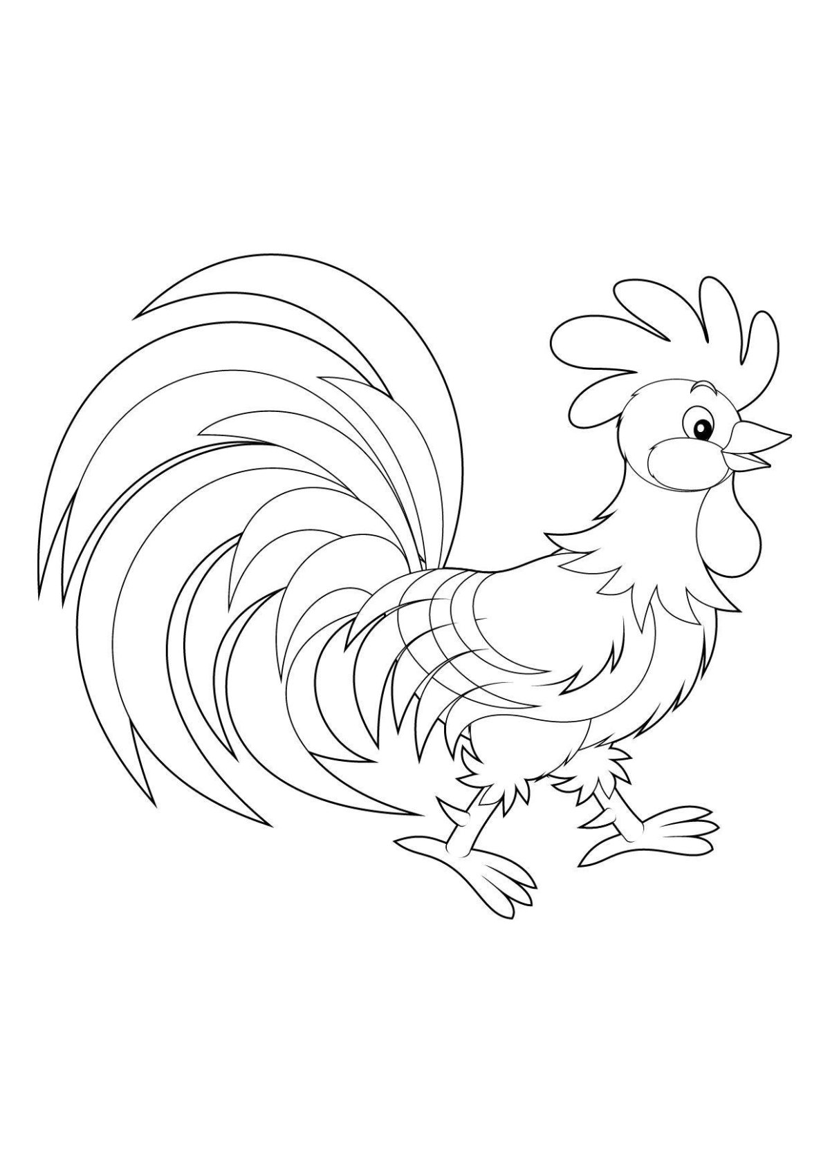 Раскраска хвост петуха для детей