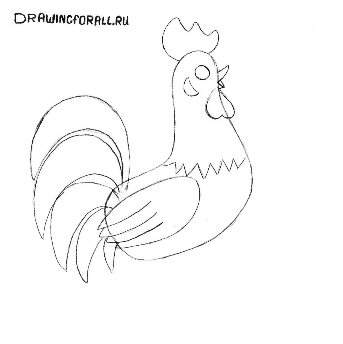 Петух рисунок