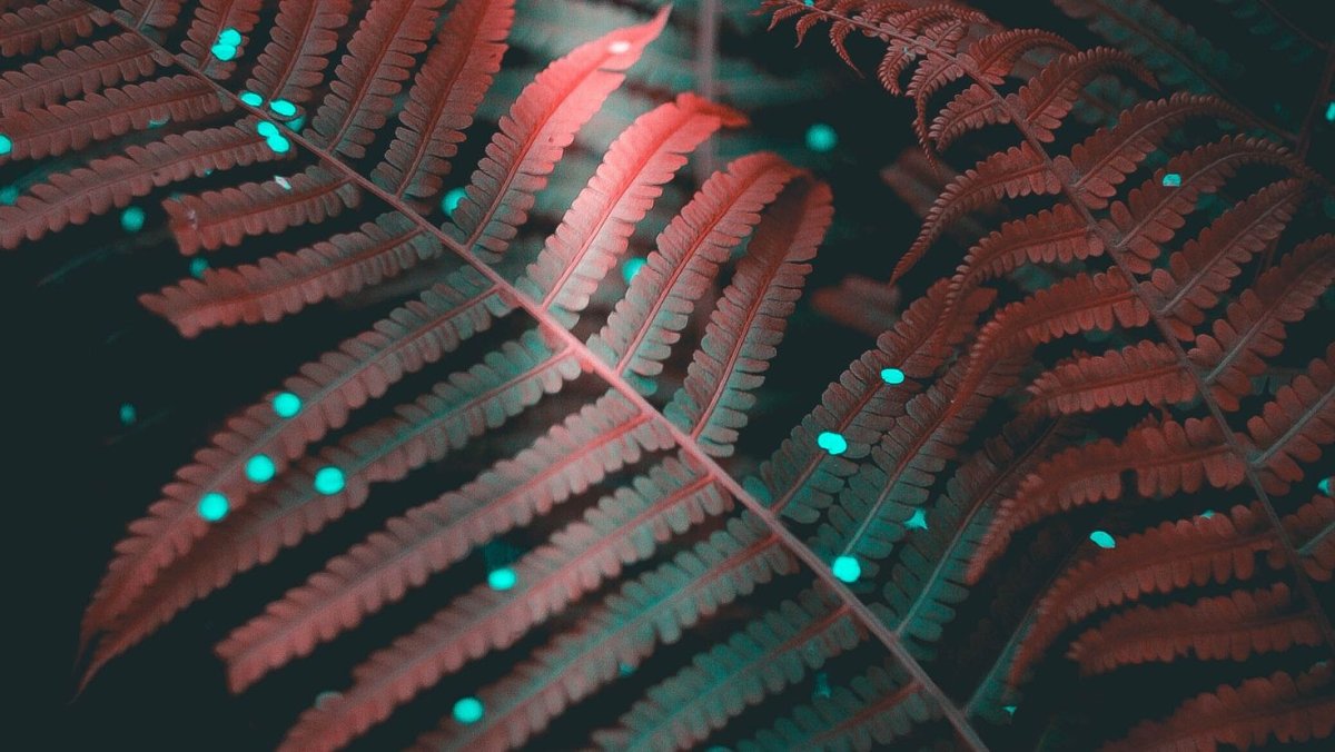 Розовая неоновая ава