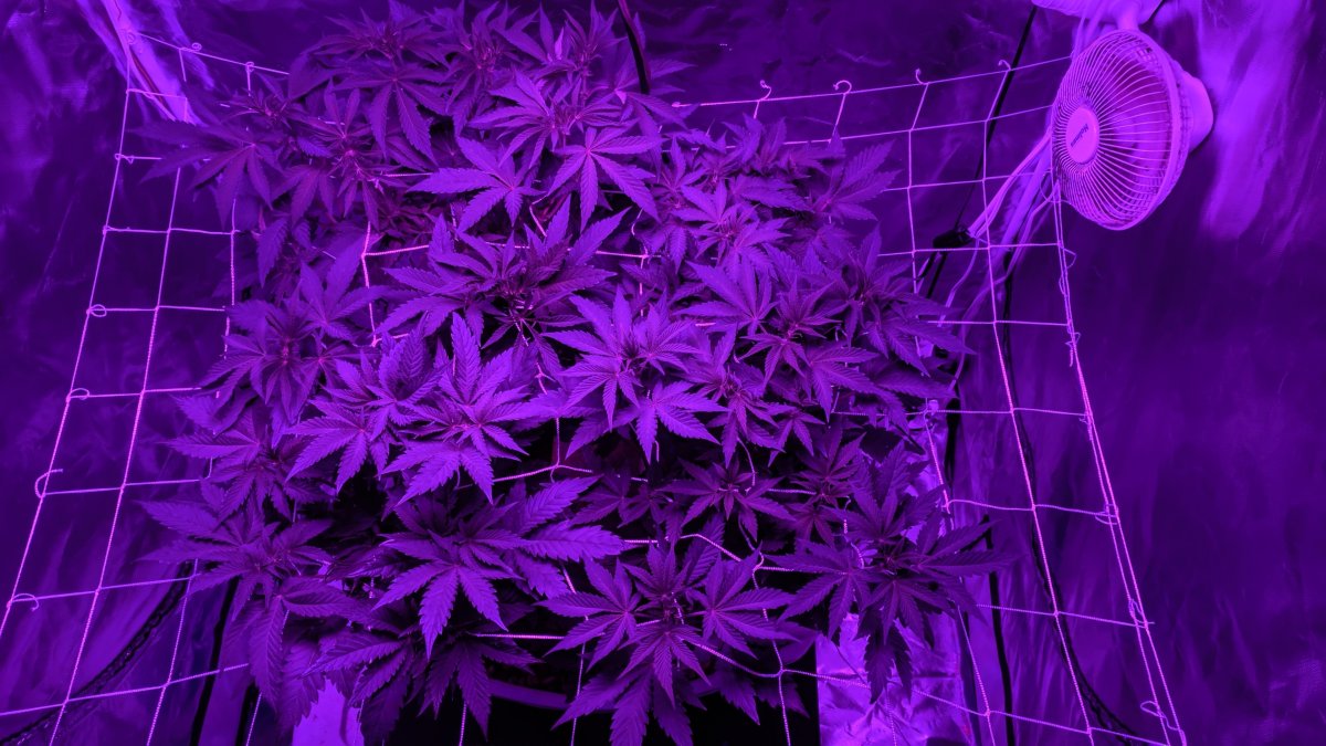 Неоновые буквы